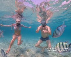 Underwater Odyssey snorkeling excursion Pattaya Thailand photo 11072