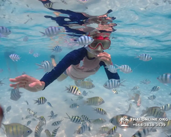 Underwater Odyssey snorkeling excursion in Pattaya Thailand photo 869