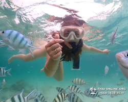 Underwater Odyssey snorkeling excursion in Pattaya Thailand photo 155