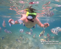 Underwater Odyssey snorkeling excursion Pattaya Thailand photo 11579