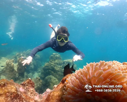 Underwater Odyssey snorkeling tour from Pattaya Thailand photo 14442