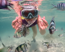 Underwater Odyssey snorkeling excursion Pattaya Thailand photo 19351