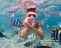 Underwater Odyssey snorkeling excursion Pattaya Thailand photo 11279