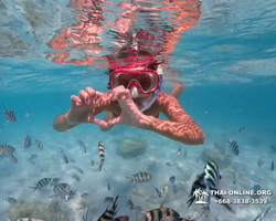 Underwater Odyssey snorkeling excursion in Pattaya Thailand photo 402