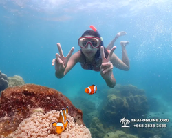 Underwater Odyssey snorkeling excursion in Pattaya Thailand photo 424