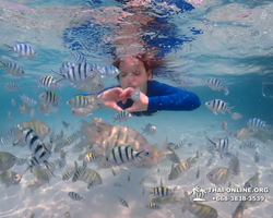 Underwater Odyssey snorkeling excursion in Pattaya Thailand photo 617