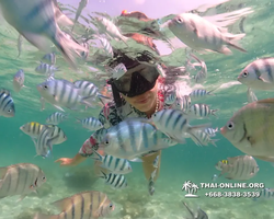 Underwater Odyssey snorkeling tour from Pattaya Thailand photo 18300