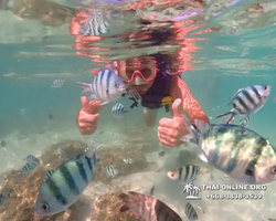 Underwater Odyssey snorkeling excursion Pattaya Thailand photo 19304