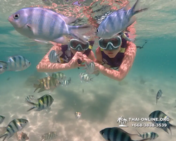 Underwater Odyssey snorkeling excursion Pattaya Thailand photo 19448