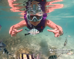 Underwater Odyssey snorkeling excursion Pattaya Thailand photo 19208