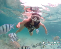 Underwater Odyssey snorkeling excursion in Pattaya Thailand photo 214