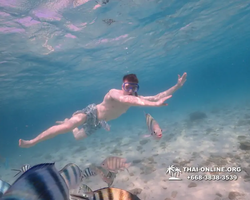 Underwater Odyssey snorkeling excursion Pattaya Thailand photo 11112