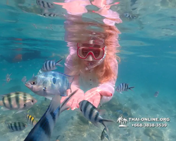 Underwater Odyssey snorkeling tour from Pattaya Thailand photo 14577