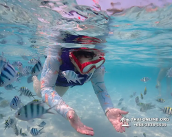 Underwater Odyssey snorkeling excursion in Pattaya Thailand photo 843