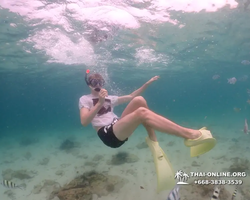 Underwater Odyssey snorkeling excursion in Pattaya Thailand photo 228