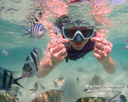 Underwater Odyssey snorkeling excursion Pattaya Thailand photo 19114