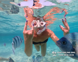 Underwater Odyssey snorkeling excursion Pattaya Thailand photo 10973