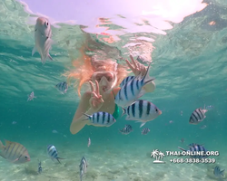 Underwater Odyssey snorkeling tour from Pattaya Thailand photo 18534