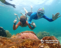 Underwater Odyssey snorkeling excursion Pattaya Thailand photo 14831