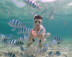 Underwater Odyssey snorkeling tour from Pattaya Thailand photo 18337