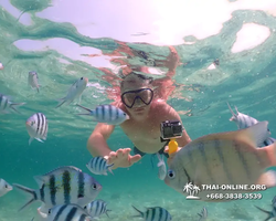 Underwater Odyssey snorkeling tour from Pattaya Thailand photo 18387