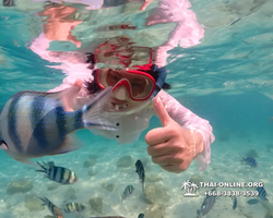 Underwater Odyssey snorkeling tour from Pattaya Thailand photo 14468