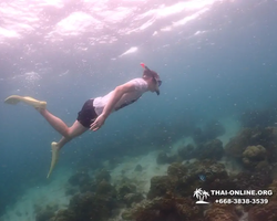 Underwater Odyssey snorkeling excursion in Pattaya Thailand photo 309