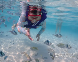 Underwater Odyssey snorkeling excursion in Pattaya Thailand photo 965