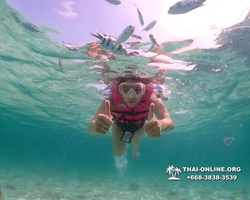 Underwater Odyssey snorkeling tour from Pattaya Thailand photo 18510