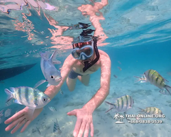 Underwater Odyssey snorkeling excursion Pattaya Thailand photo 11050