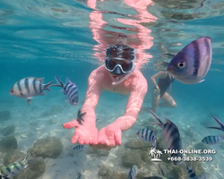 Underwater Odyssey snorkeling tour from Pattaya Thailand photo 14466