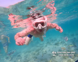 Underwater Odyssey snorkeling excursion Pattaya Thailand photo 11129
