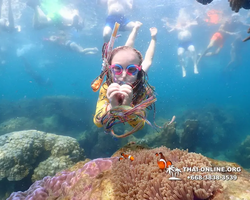 Underwater Odyssey snorkeling excursion Pattaya Thailand photo 11553