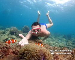 Underwater Odyssey snorkeling excursion Pattaya Thailand photo 11423