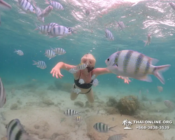 Underwater Odyssey snorkeling excursion in Pattaya Thailand photo 152