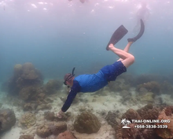 Underwater Odyssey snorkeling excursion in Pattaya Thailand photo 305