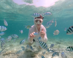 Underwater Odyssey snorkeling tour from Pattaya Thailand photo 18345