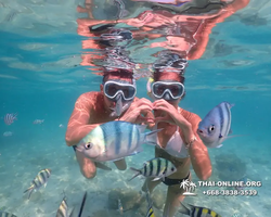 Underwater Odyssey snorkeling tour from Pattaya Thailand photo 14192