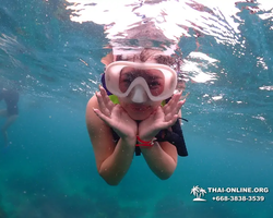 Underwater Odyssey snorkeling excursion in Pattaya Thailand photo 48