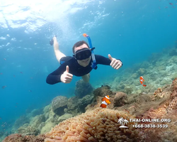 Underwater Odyssey snorkeling excursion Pattaya Thailand photo 11374