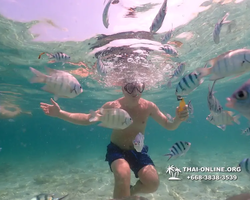 Underwater Odyssey snorkeling tour from Pattaya Thailand photo 18356