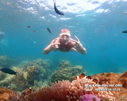 Underwater Odyssey snorkeling tour from Pattaya Thailand photo 14534