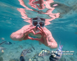 Underwater Odyssey snorkeling tour from Pattaya Thailand photo 14380