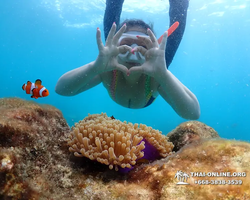 Underwater Odyssey snorkeling excursion in Pattaya Thailand photo 594