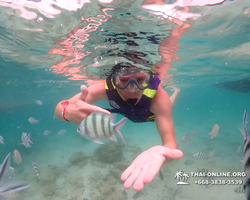 Underwater Odyssey snorkeling excursion in Pattaya Thailand photo 94