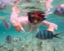 Underwater Odyssey snorkeling excursion Pattaya Thailand photo 14224