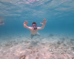 Underwater Odyssey snorkeling excursion Pattaya Thailand photo 11115