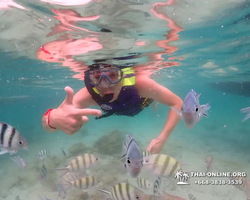 Underwater Odyssey snorkeling excursion in Pattaya Thailand photo 196