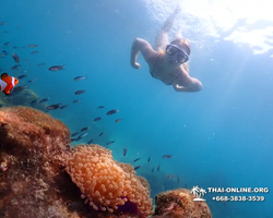 Underwater Odyssey snorkeling excursion in Pattaya Thailand photo 967