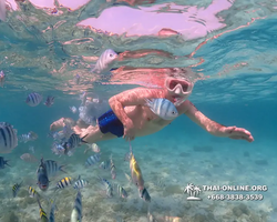 Underwater Odyssey snorkeling excursion Pattaya Thailand photo 11293